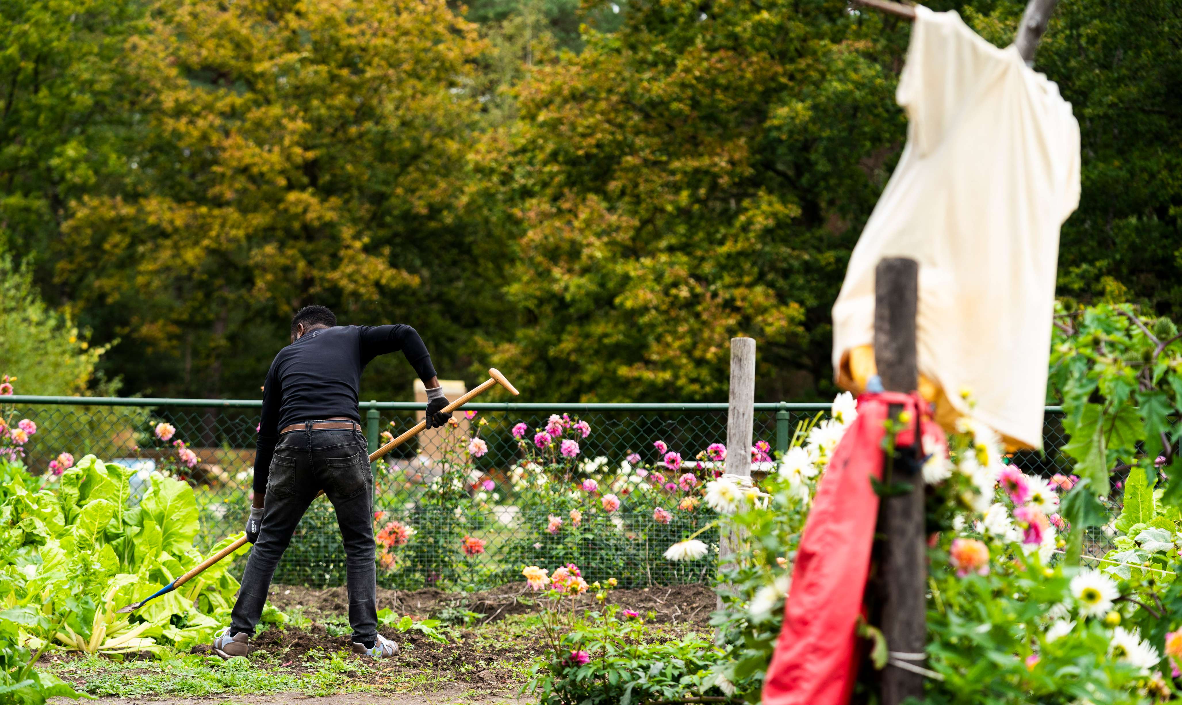 Iemand werkt in een tuin